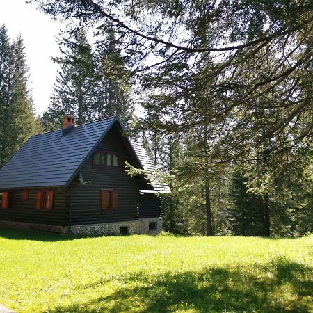Chalet Stara Jelka Pokljuka 지고르니예 고르예 외부 사진