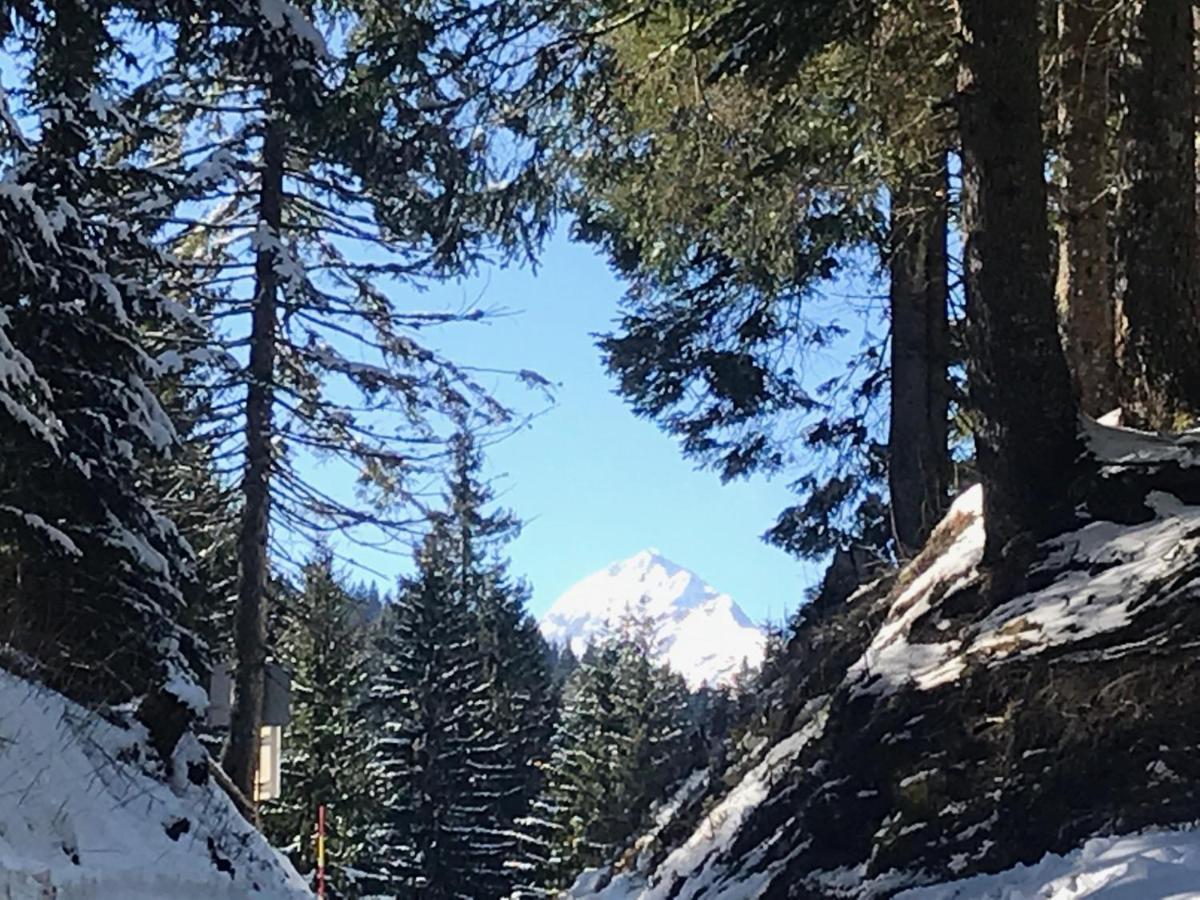 Chalet Stara Jelka Pokljuka 지고르니예 고르예 외부 사진
