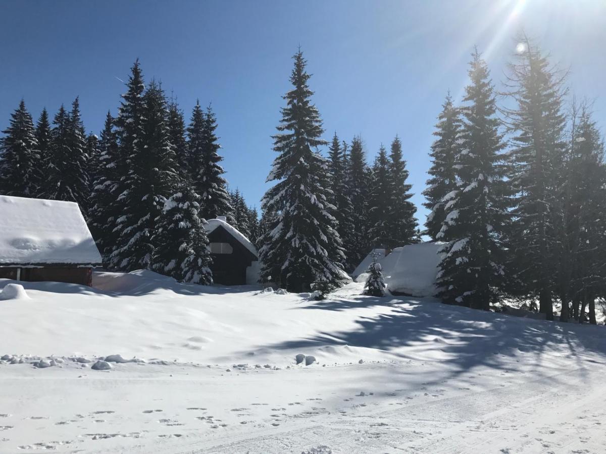 Chalet Stara Jelka Pokljuka 지고르니예 고르예 외부 사진