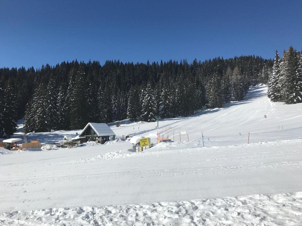 Chalet Stara Jelka Pokljuka 지고르니예 고르예 외부 사진
