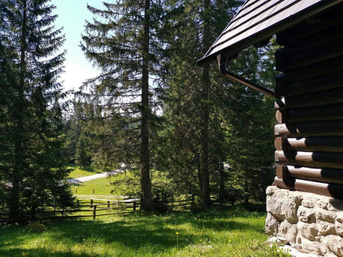 Chalet Stara Jelka Pokljuka 지고르니예 고르예 외부 사진