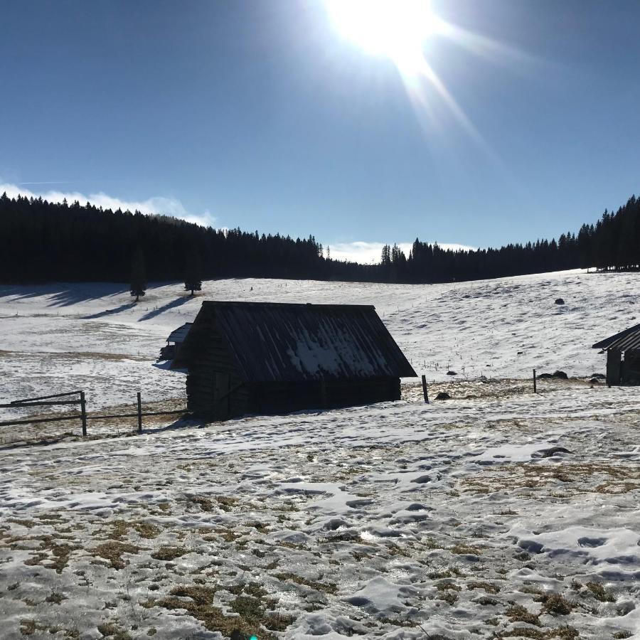 Chalet Stara Jelka Pokljuka 지고르니예 고르예 외부 사진