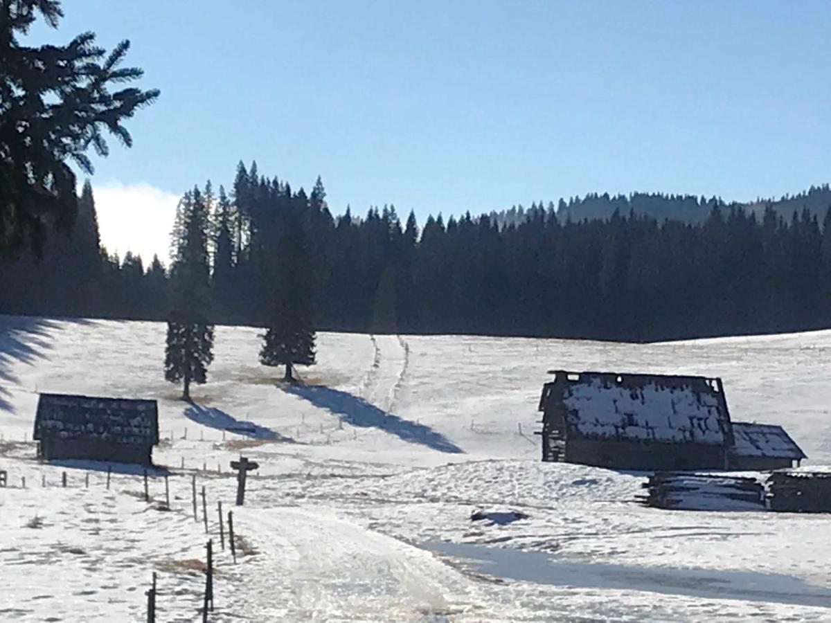 Chalet Stara Jelka Pokljuka 지고르니예 고르예 외부 사진