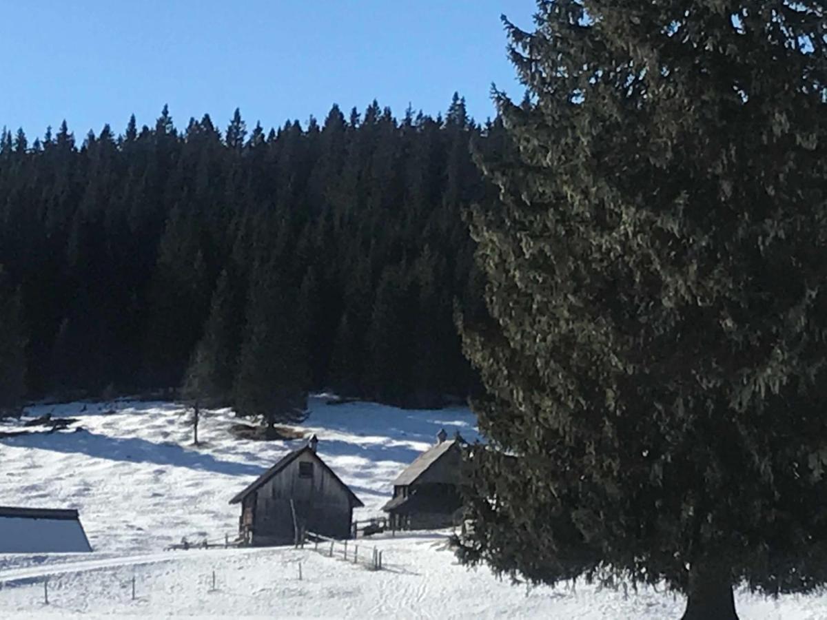 Chalet Stara Jelka Pokljuka 지고르니예 고르예 외부 사진