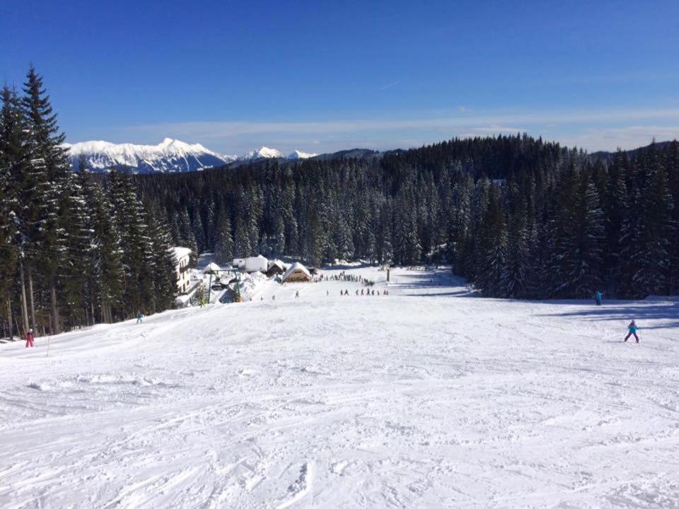 Chalet Stara Jelka Pokljuka 지고르니예 고르예 외부 사진