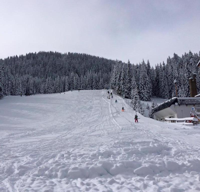 Chalet Stara Jelka Pokljuka 지고르니예 고르예 외부 사진