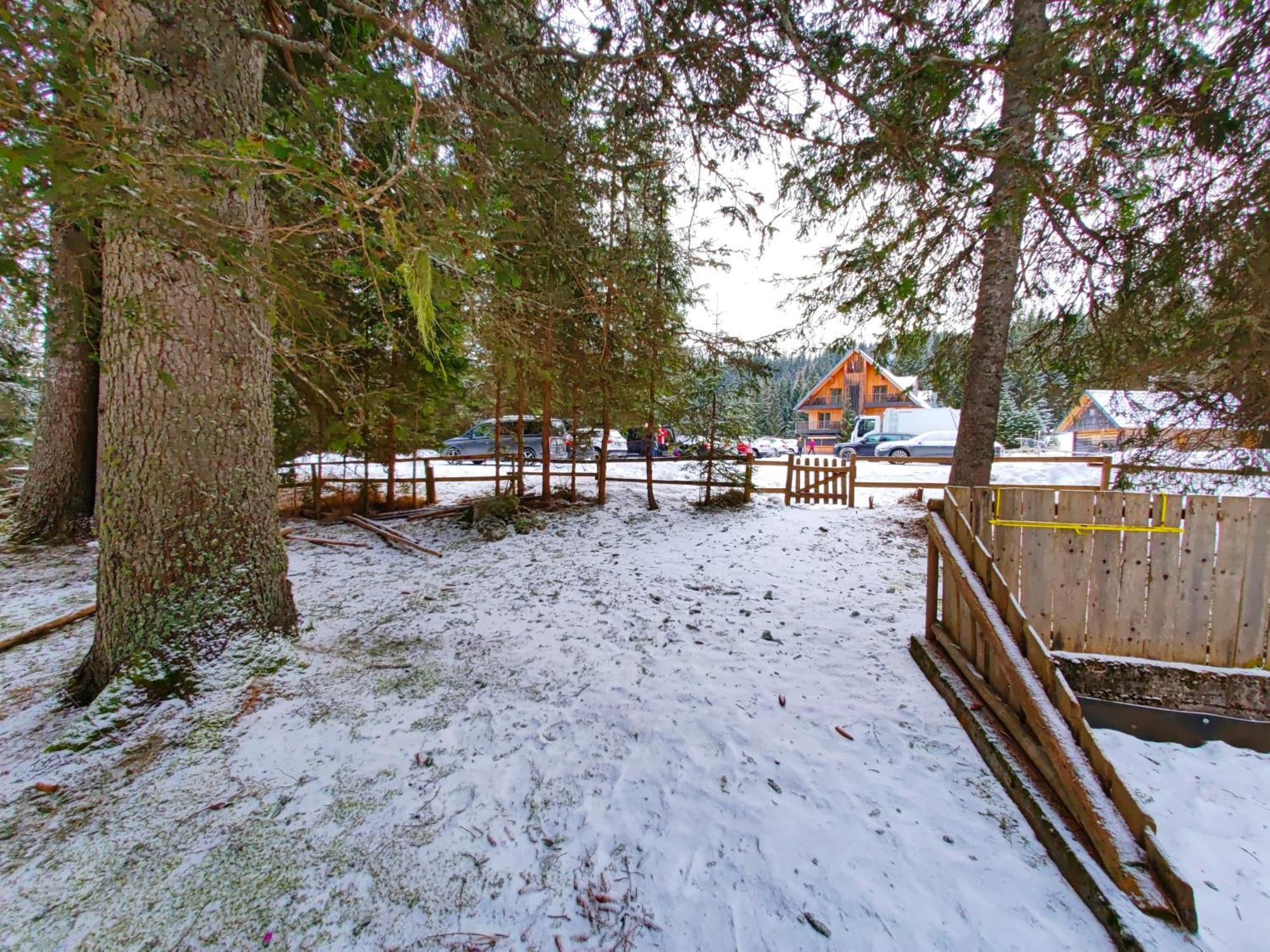 Chalet Stara Jelka Pokljuka 지고르니예 고르예 외부 사진