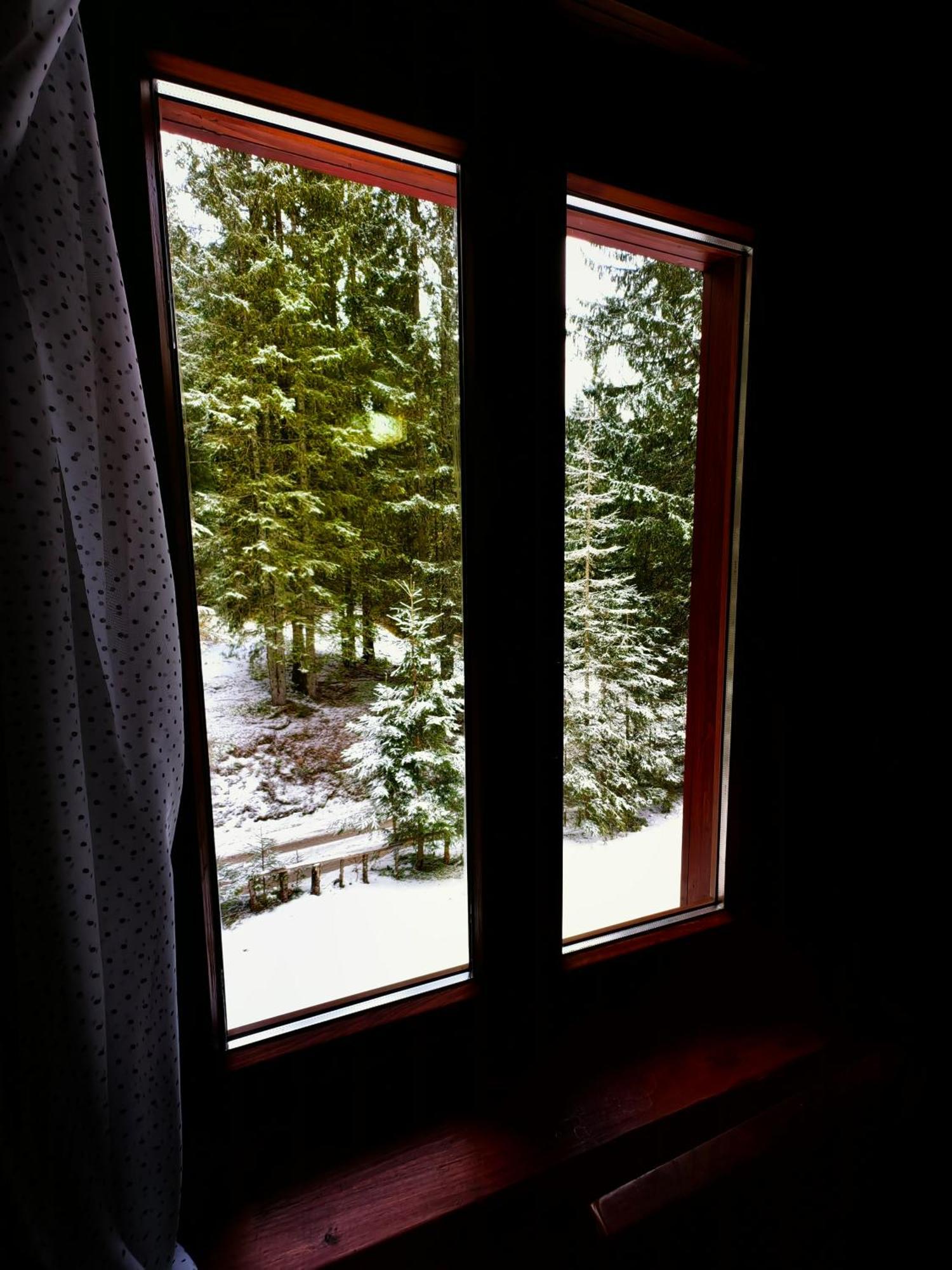 Chalet Stara Jelka Pokljuka 지고르니예 고르예 외부 사진